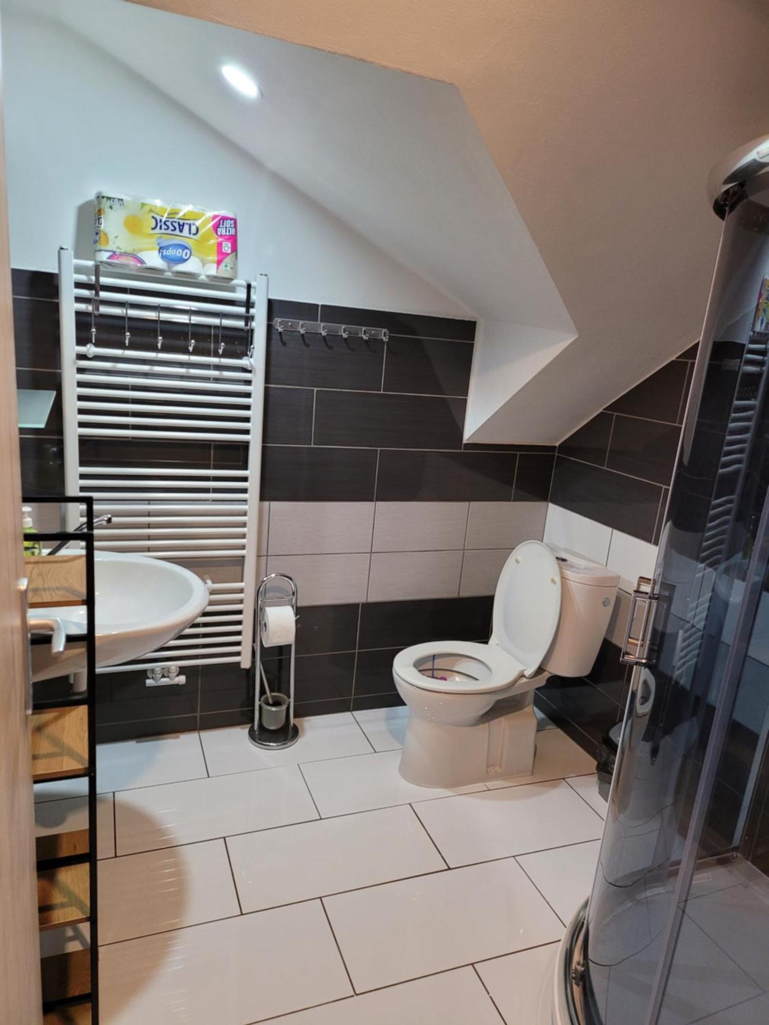 Penzion Karolina Lučany nad Nisou Exterior foto