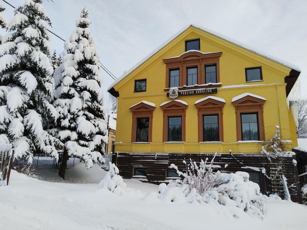 Penzion Karolina Lučany nad Nisou Exterior foto